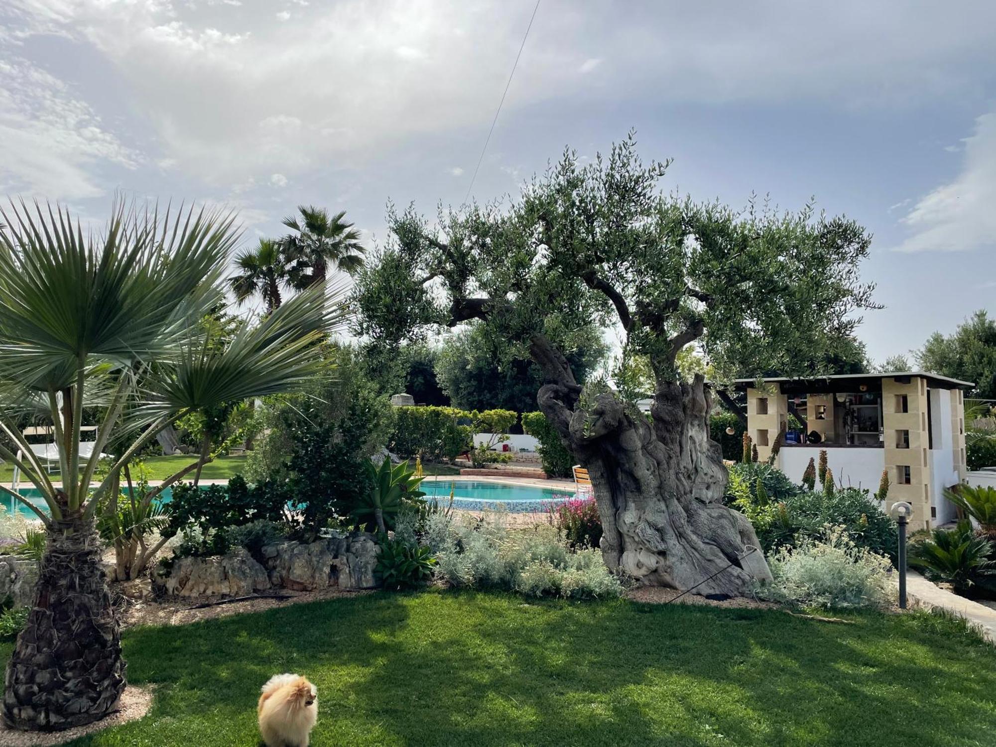 Alla Villa Di Angelo Монополи Экстерьер фото