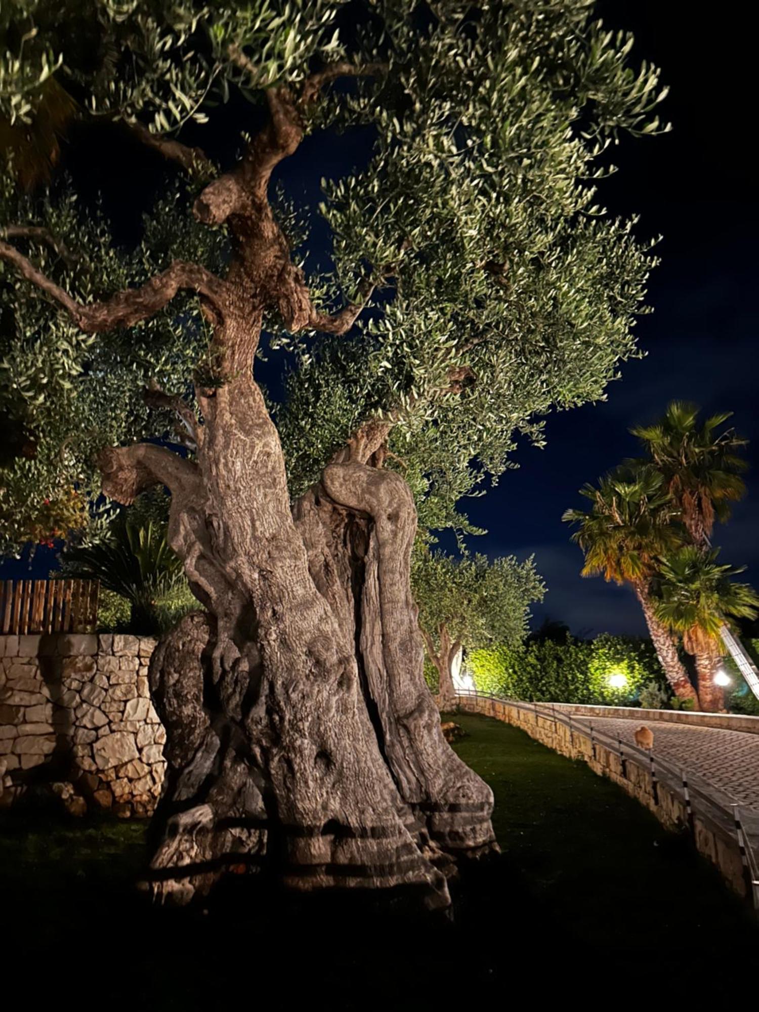 Alla Villa Di Angelo Монополи Экстерьер фото
