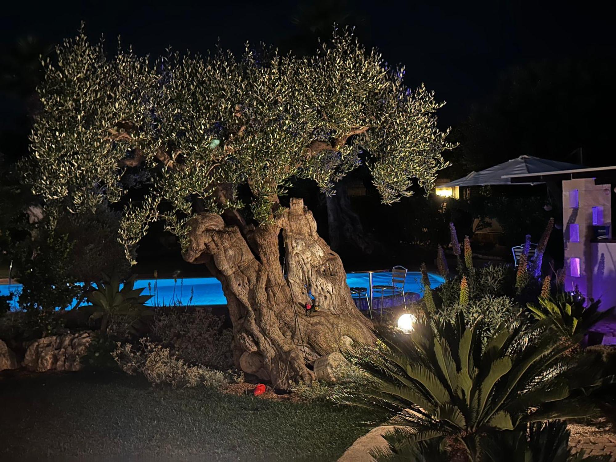 Alla Villa Di Angelo Монополи Номер фото